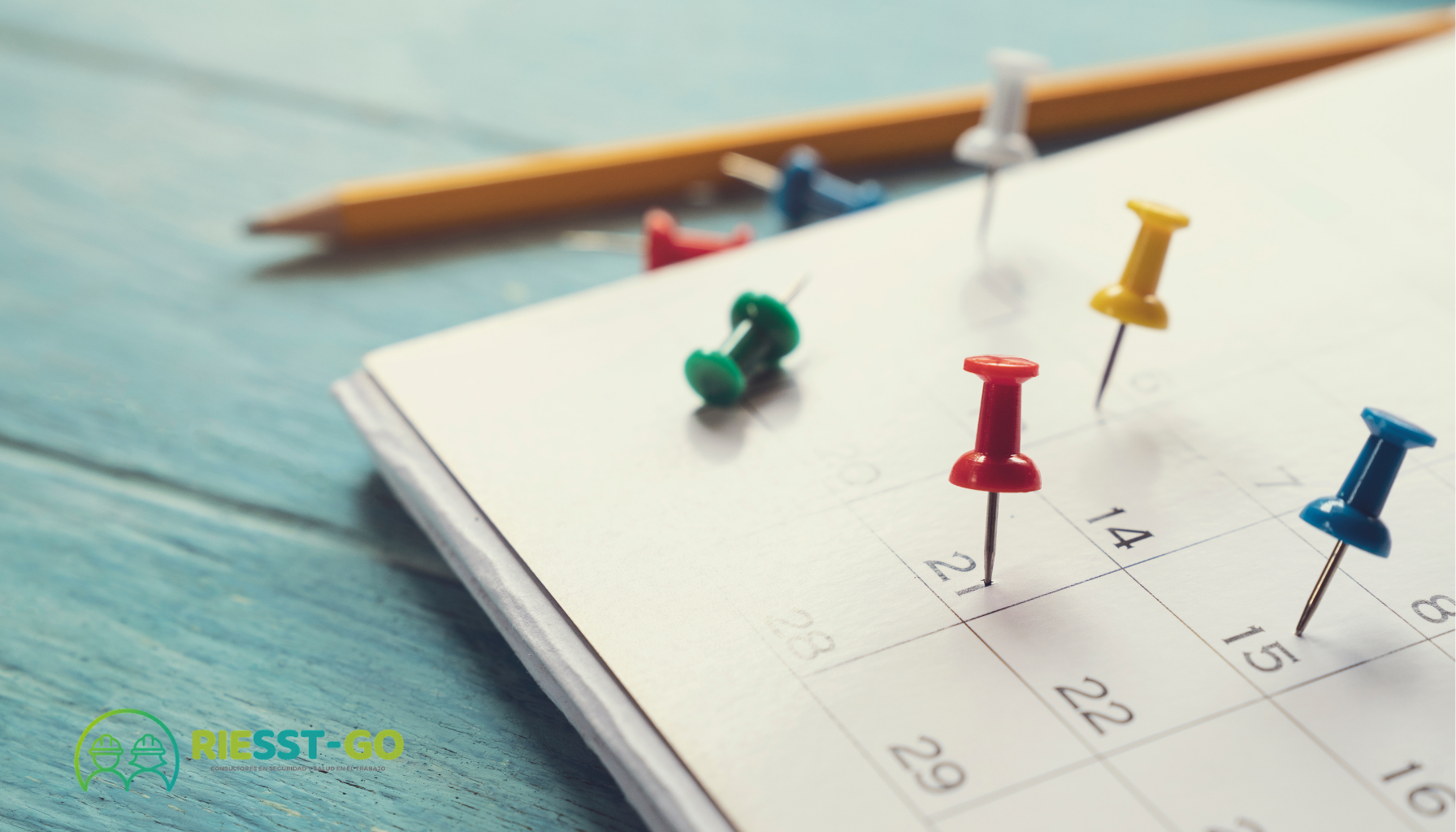 Por qué optar por asesorías específicas por horas