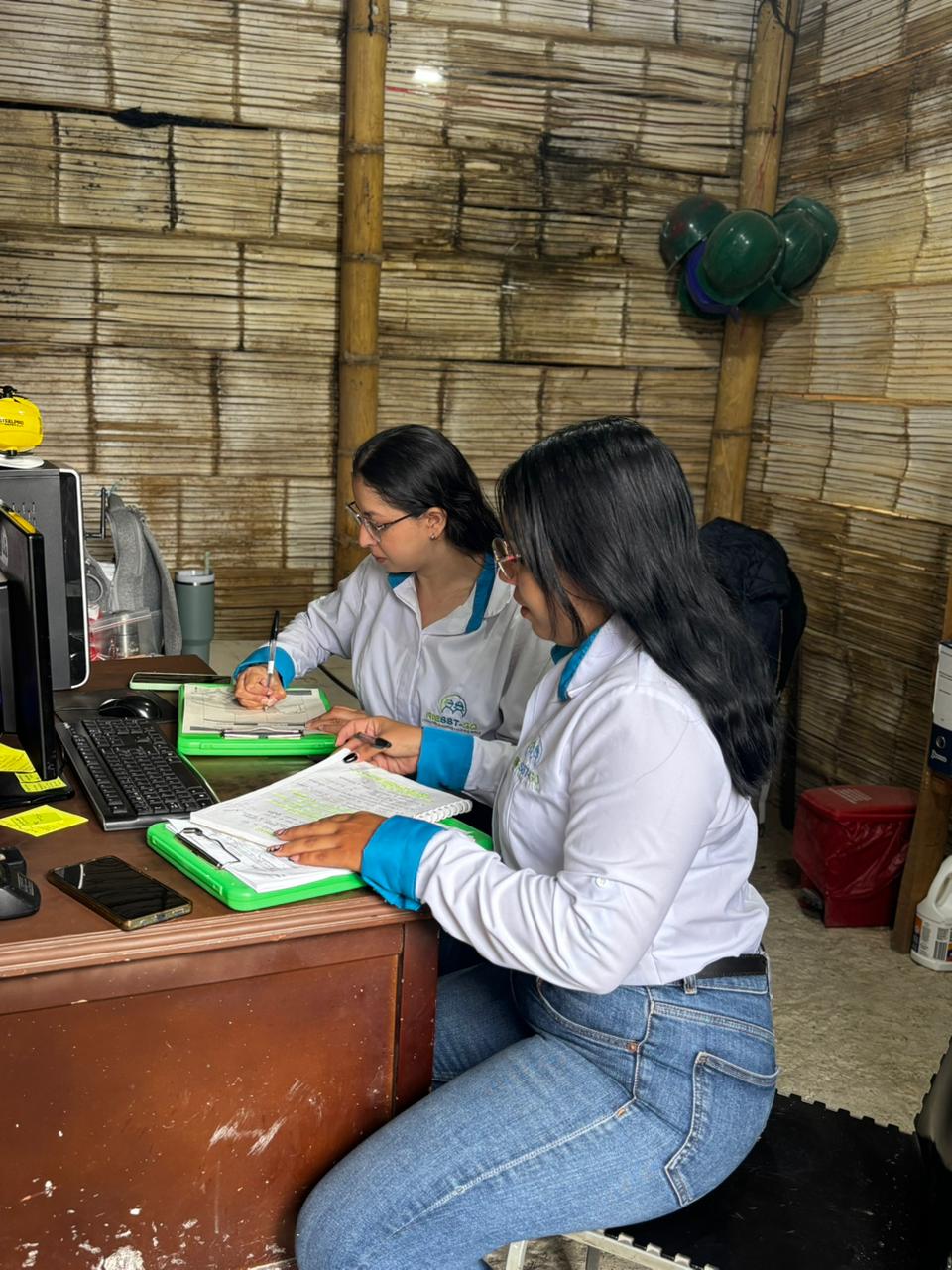 ¿Por qué es obligatorio cumplir con los Estándares Mínimos?